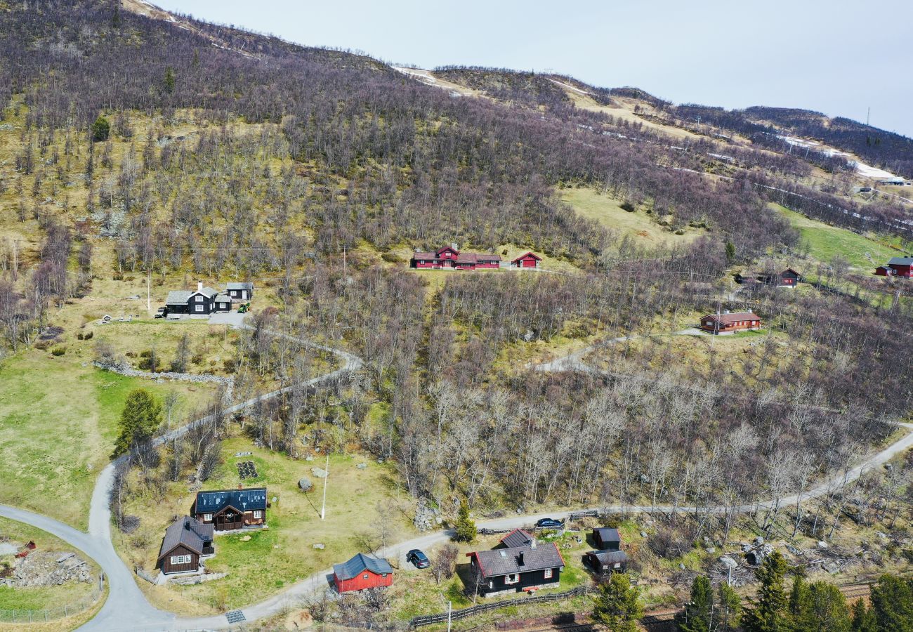 Hytte i Hol - Liten koselig hytte på hyttetun