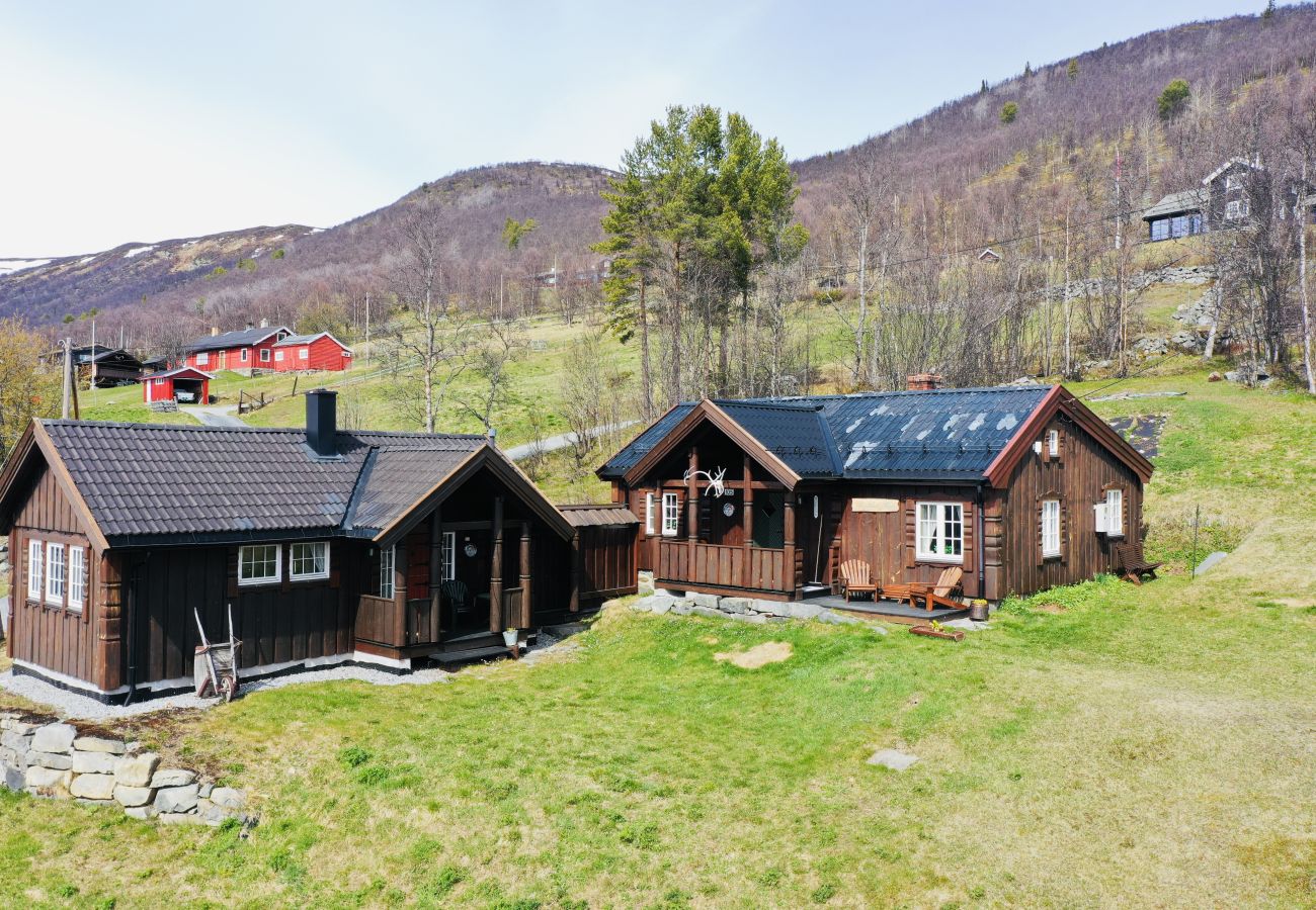 Hytte i Hol - Liten koselig hytte på hyttetun