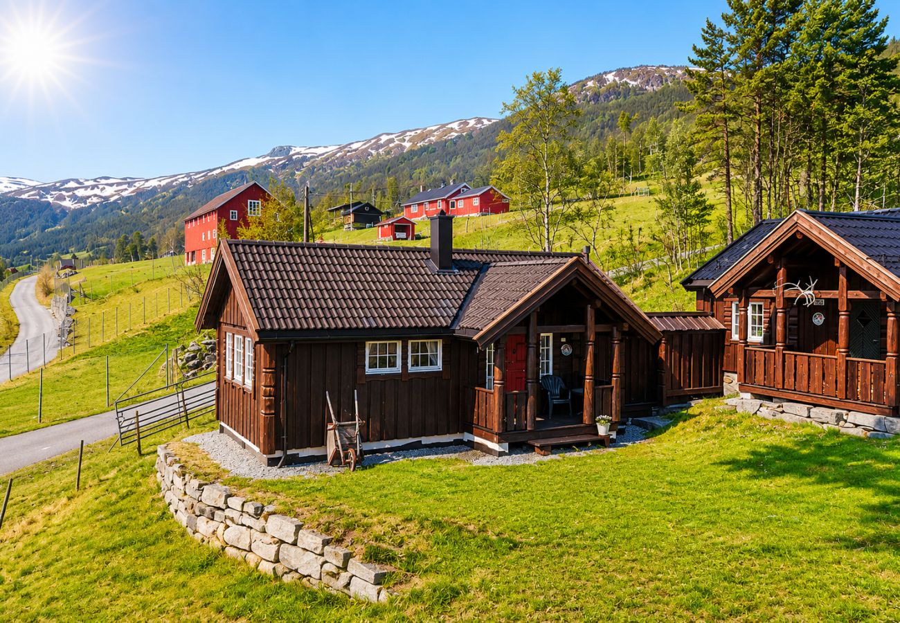 Hytte i Hol - Liten koselig hytte på hyttetun
