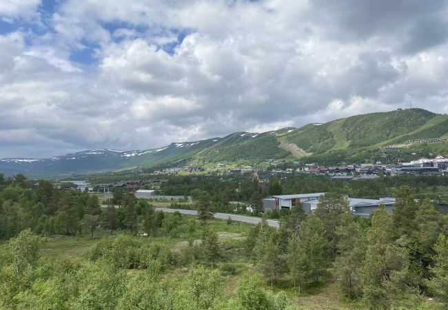 Leilighet i Hol - Sjelefred - stor leilighet med sentral beliggenhet Leilighet i Hol - Sjelefred - stor leilighet med sentral beliggenhet