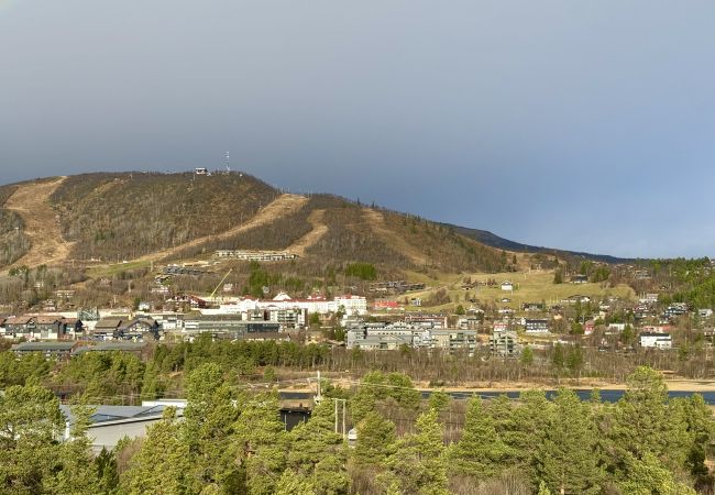Leilighet i Hol - Sjelefred - stor leilighet med sentral beliggenhet Leilighet i Hol - Sjelefred - stor leilighet med sentral beliggenhet