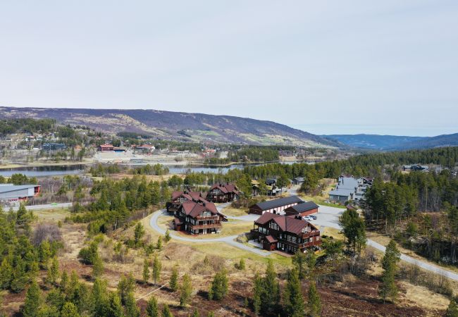 Leilighet i Hol - Sjelefred - stor leilighet med sentral beliggenhet Leilighet i Hol - Sjelefred - stor leilighet med sentral beliggenhet