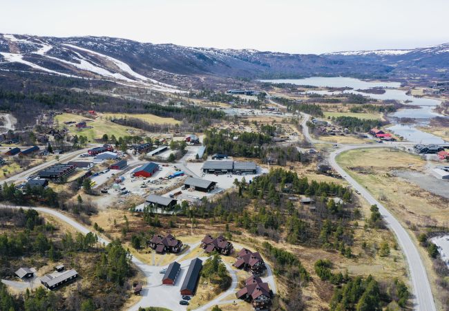 Leilighet i Hol - Sjelefred - stor leilighet med sentral beliggenhet Leilighet i Hol - Sjelefred - stor leilighet med sentral beliggenhet