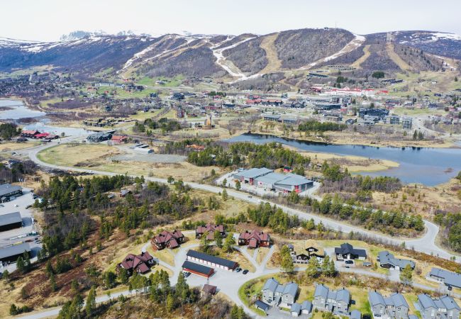 Leilighet i Hol - Sjelefred - stor leilighet med sentral beliggenhet Leilighet i Hol - Sjelefred - stor leilighet med sentral beliggenhet