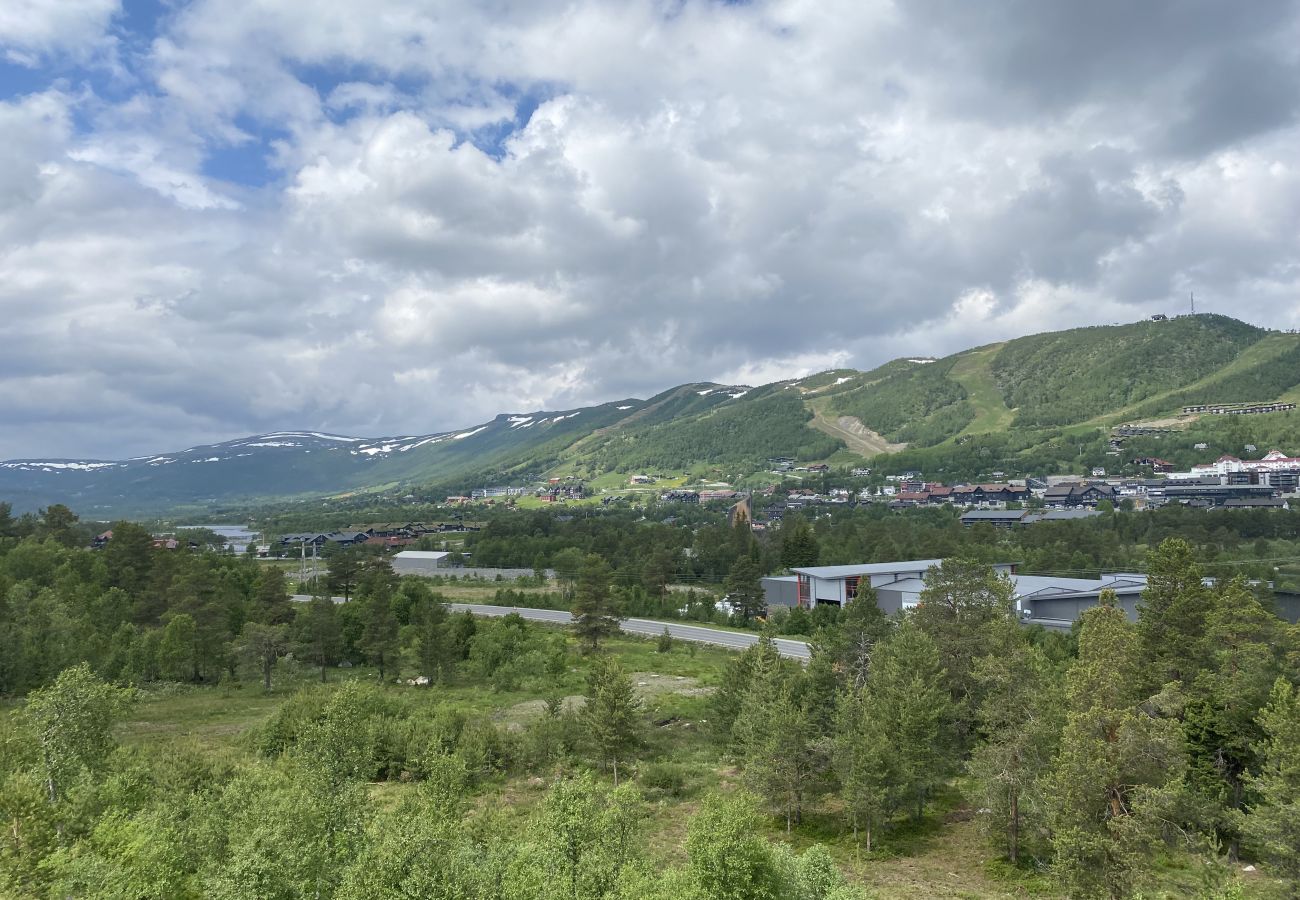 Leilighet i Hol - Sjelefred - stor leilighet med sentral beliggenhet Leilighet i Hol - Sjelefred - stor leilighet med sentral beliggenhet