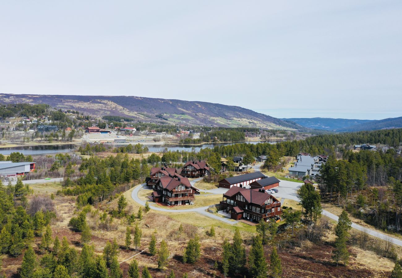 Leilighet i Hol - Sjelefred - stor leilighet med sentral beliggenhet Leilighet i Hol - Sjelefred - stor leilighet med sentral beliggenhet