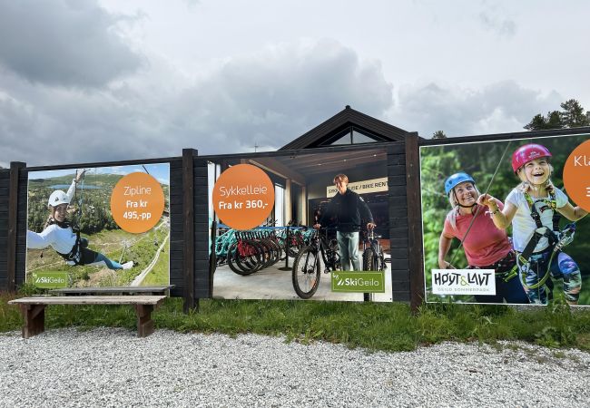 Leilighet i Hol - Sentral leilighet - rett ved skisenter - 2 parkering plasser Leilighet i Hol - Sentral leilighet - rett ved skisenter - 2 parkering plasser