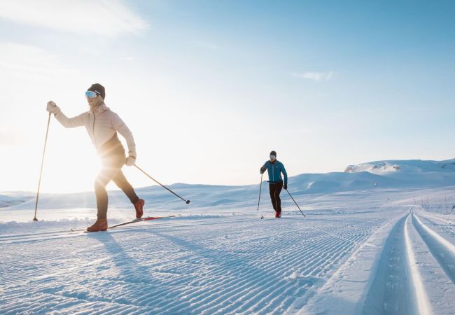 Leilighet i Hol - Kikut Alpin Lodge - Ski in/Ski out Leilighet i Hol - Kikut Alpin Lodge - Ski in/Ski out