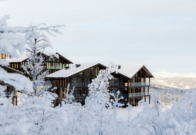 Leilighet i Hol - Kikut Alpin Lodge - Ski in/Ski out Leilighet i Hol - Kikut Alpin Lodge - Ski in/Ski out