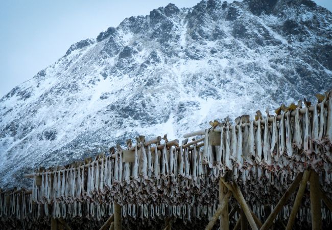 Hytte i Flakstad - Nordbo - unik plass med utsikt over Rambergstranda Hytte i Flakstad - Nordbo - unik plass med utsikt over Rambergstranda