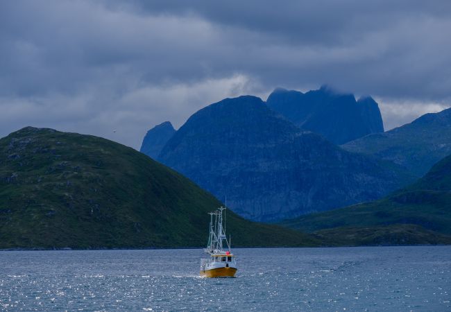 Hytte i Flakstad - Nordbo - unik plass med utsikt over Rambergstranda Hytte i Flakstad - Nordbo - unik plass med utsikt over Rambergstranda