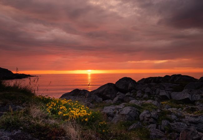 Hytte i Flakstad - Nordbo - unik plass med utsikt over Rambergstranda Hytte i Flakstad - Nordbo - unik plass med utsikt over Rambergstranda