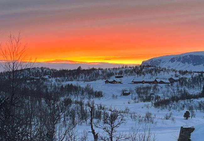 Hytte i Hol - Koselig familievennlig hytte med nydelig beliggenhet! Hytte i Hol - Koselig familievennlig hytte med nydelig beliggenhet!