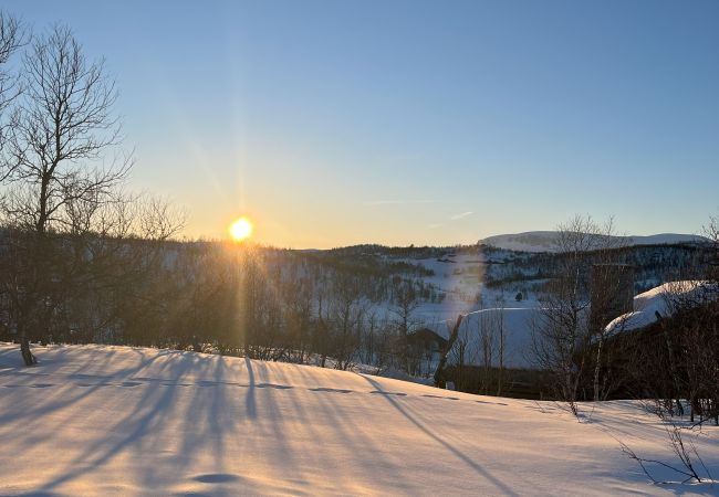 Hytte i Hol - Koselig familievennlig hytte med nydelig beliggenhet! Hytte i Hol - Koselig familievennlig hytte med nydelig beliggenhet!