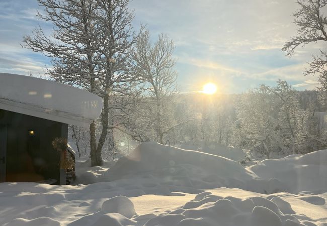 Hytte i Hol - Koselig familievennlig hytte med nydelig beliggenhet! Hytte i Hol - Koselig familievennlig hytte med nydelig beliggenhet!