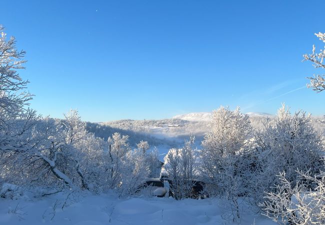Hytte i Hol - Koselig familievennlig hytte med nydelig beliggenhet! Hytte i Hol - Koselig familievennlig hytte med nydelig beliggenhet!