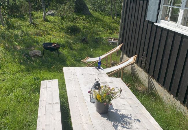 Hytte i Hol - Koselig familievennlig hytte med nydelig beliggenhet! Hytte i Hol - Koselig familievennlig hytte med nydelig beliggenhet!