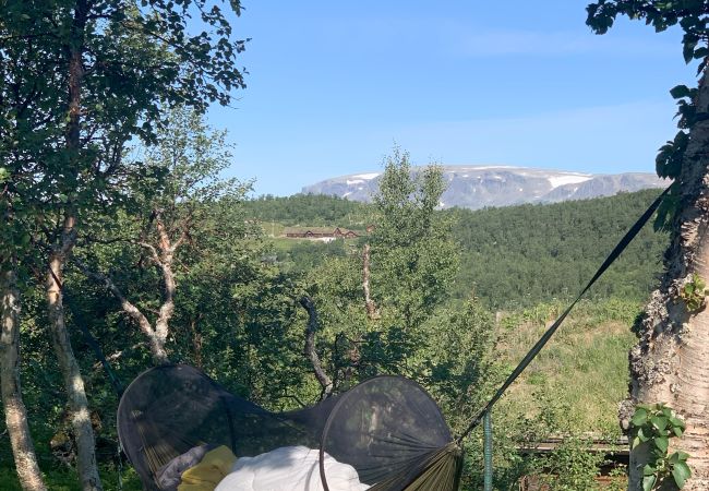 Hytte i Hol - Koselig familievennlig hytte med nydelig beliggenhet! Hytte i Hol - Koselig familievennlig hytte med nydelig beliggenhet!