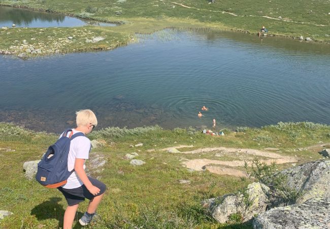 Hytte i Hol - Koselig familievennlig hytte med nydelig beliggenhet! Hytte i Hol - Koselig familievennlig hytte med nydelig beliggenhet!