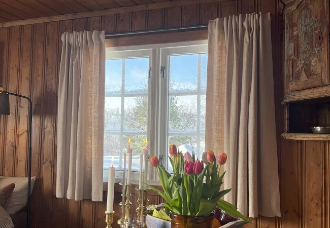 Hytte i Hol - Koselig familievennlig hytte med nydelig beliggenhet! Hytte i Hol - Koselig familievennlig hytte med nydelig beliggenhet!