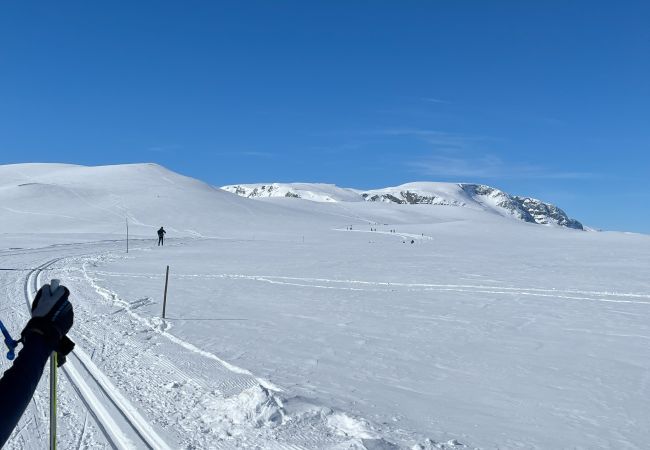 Hytte i Hol - Koselig familievennlig hytte med nydelig beliggenhet! Hytte i Hol - Koselig familievennlig hytte med nydelig beliggenhet!