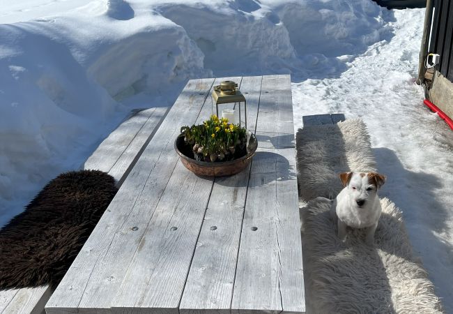Hytte i Hol - Koselig familievennlig hytte med nydelig beliggenhet! Hytte i Hol - Koselig familievennlig hytte med nydelig beliggenhet!