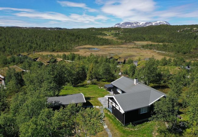 Hytte i Hol - Koselig familievennlig hytte med nydelig beliggenhet! Hytte i Hol - Koselig familievennlig hytte med nydelig beliggenhet!