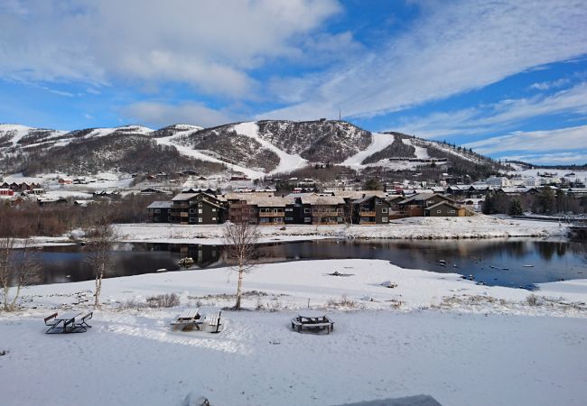 Leilighet i Hol - Solli Apartments - koselig leilighet med 3 soverom.