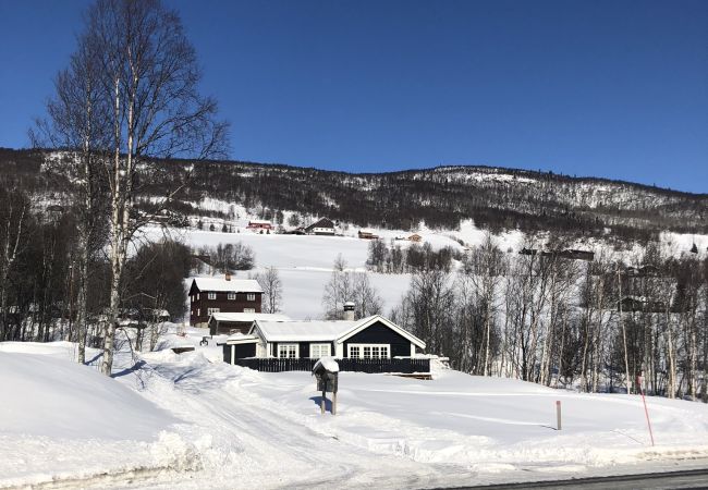 Hytte i Hol - Stugu - Koselig hytte med sentral beligenhet