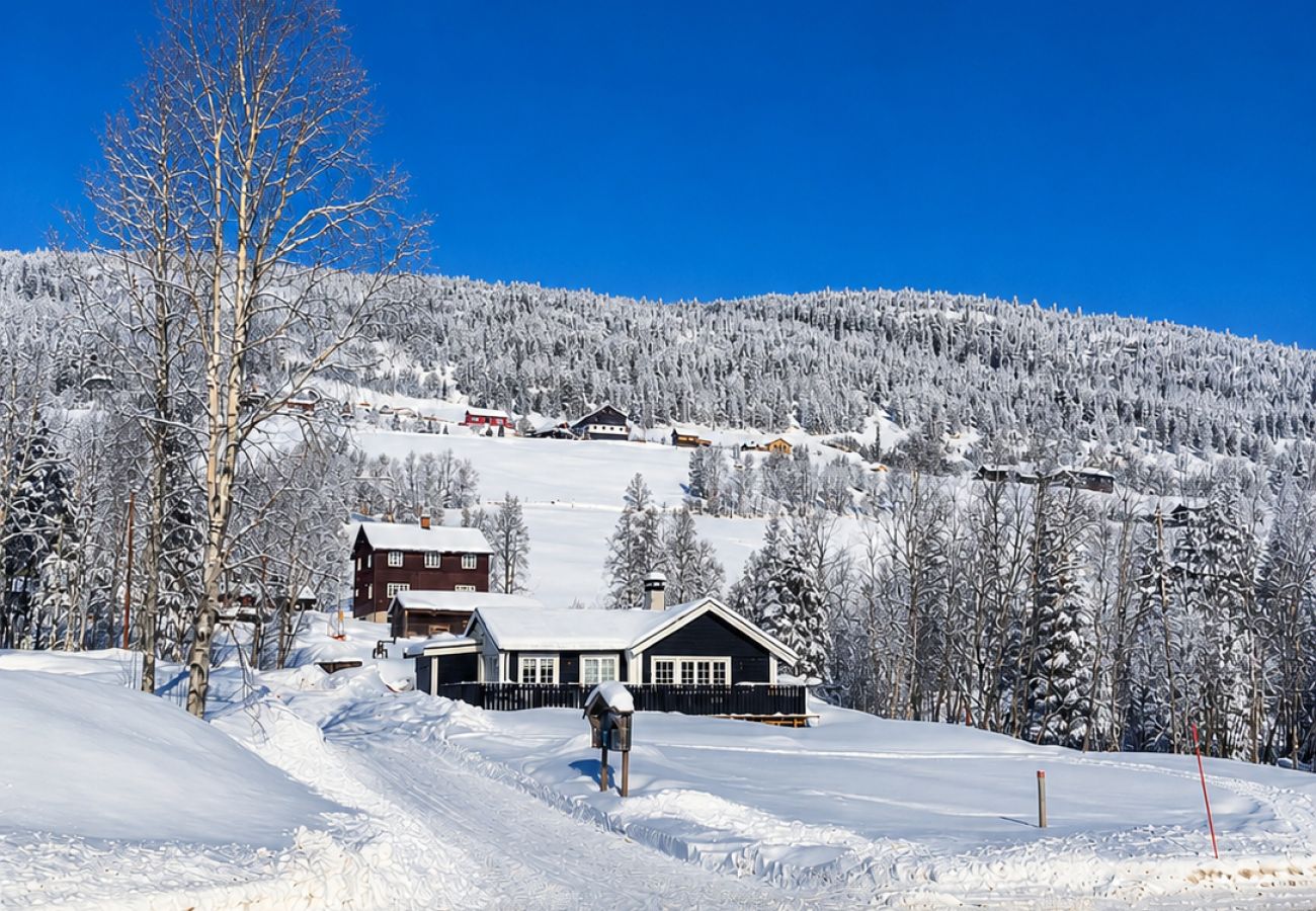 Hytte i Hol - Stugu - Koselig hytte med sentral beligenhet