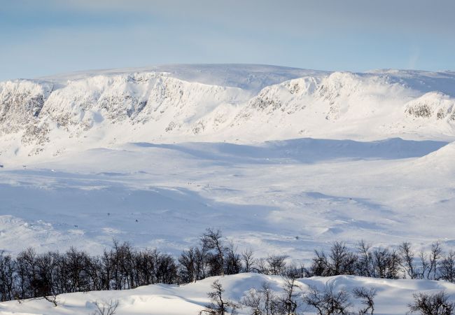 Hytte i Hol - Koselig hytte med usjenert og solrik beliggenhet