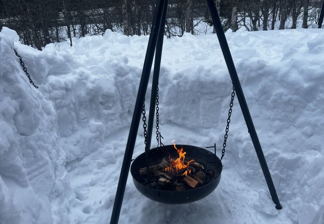 Hytte i Hol - Koselig hytte med usjenert og solrik beliggenhet Hytte i Hol - Koselig hytte med usjenert og solrik beliggenhet