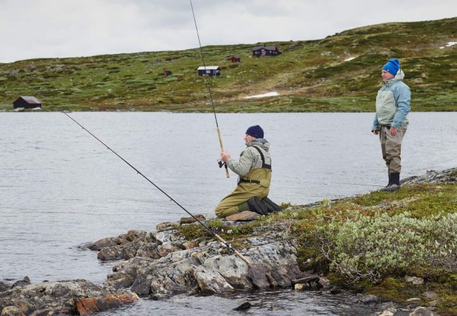 Hytte i Hol - Koselig hytte med usjenert og solrik beliggenhet Hytte i Hol - Koselig hytte med usjenert og solrik beliggenhet