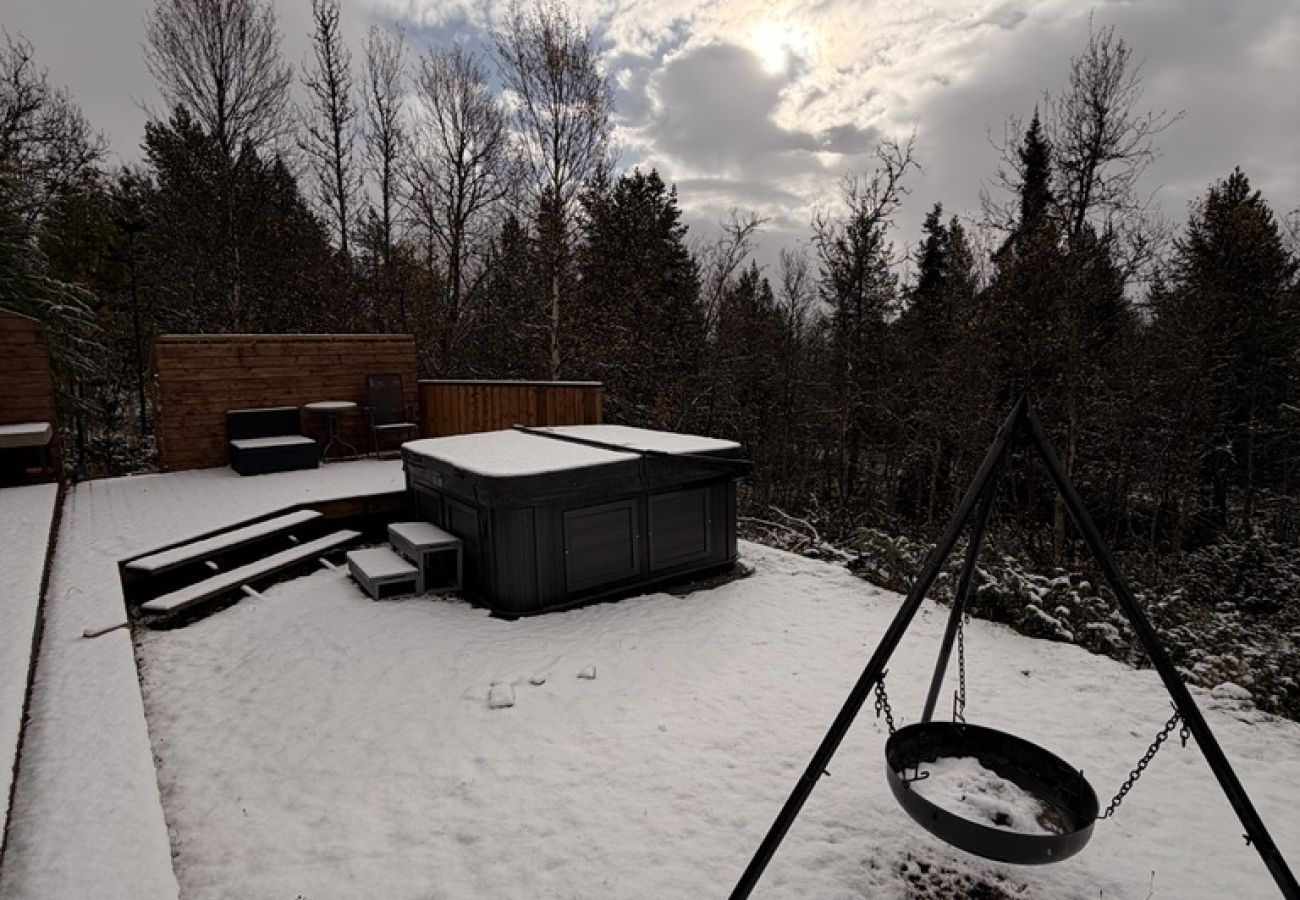 Hytte i Hol - Koselig hytte med usjenert og solrik beliggenhet