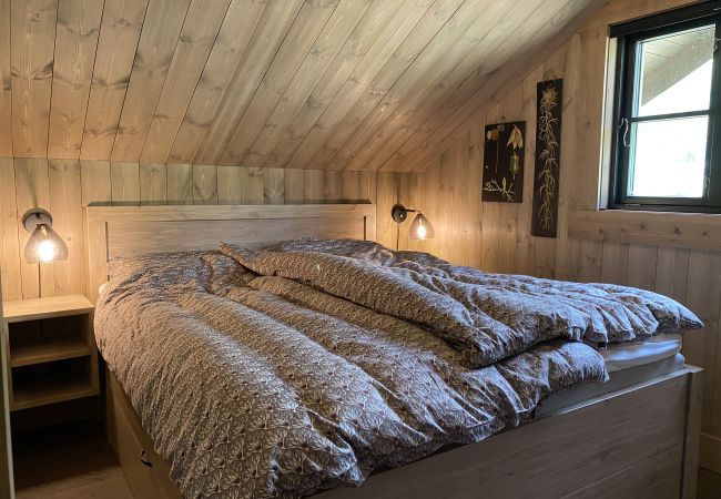 Villa i Hol - Stor Moderne hytte-nydelige omgivelser-10min fra Geilo Villa i Hol - Stor Moderne hytte-nydelige omgivelser-10min fra Geilo