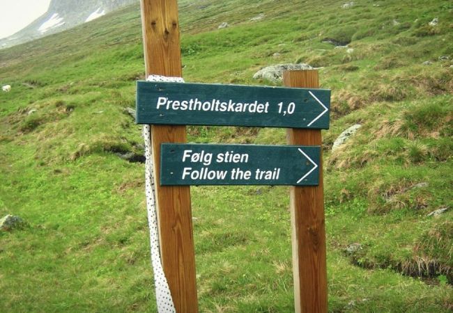 Leilighet i Hol - Fantastisk fritidsleilighet til leie på Geilo - Ski In/Out Leilighet i Hol - Fantastisk fritidsleilighet til leie på Geilo - Ski In/Out