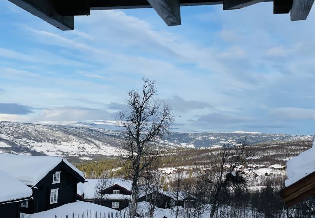 Leilighet i Hol - Fantastisk fritidsleilighet til leie på Geilo - Ski In/Out Leilighet i Hol - Fantastisk fritidsleilighet til leie på Geilo - Ski In/Out