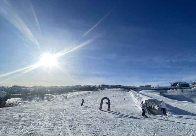 Leilighet i Hol - Fantastisk fritidsleilighet til leie på Geilo - Ski In/Out Leilighet i Hol - Fantastisk fritidsleilighet til leie på Geilo - Ski In/Out