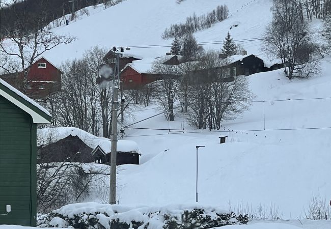 Leilighet i Hol - Koselig lelighet nær Geilo sentrum Leilighet i Hol - Koselig lelighet nær Geilo sentrum
