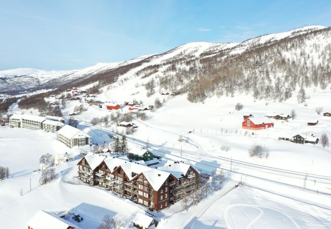 Leilighet i Hol - Koselig lelighet nær Geilo sentrum Leilighet i Hol - Koselig lelighet nær Geilo sentrum