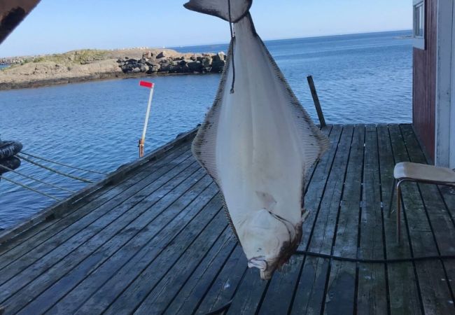 Hytte i Flakstad - Fjordutsikt Ryten 2 Retreat Hytte i Flakstad - Fjordutsikt Ryten 2 Retreat