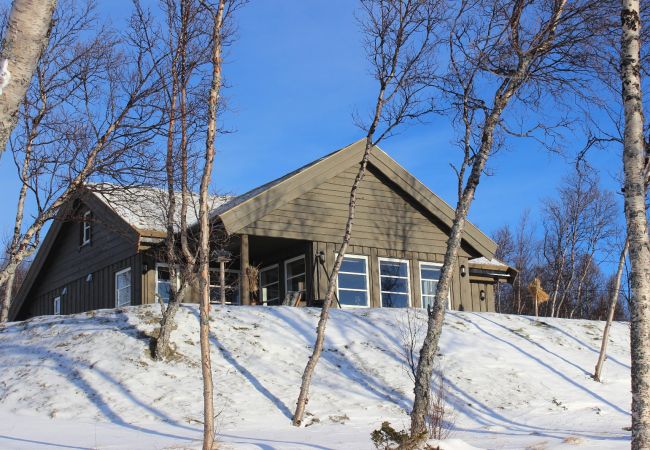 Hytte i Hol - Vakker hytte med fantastisk utsikt på Geilo Hytte i Hol - Vakker hytte med fantastisk utsikt på Geilo