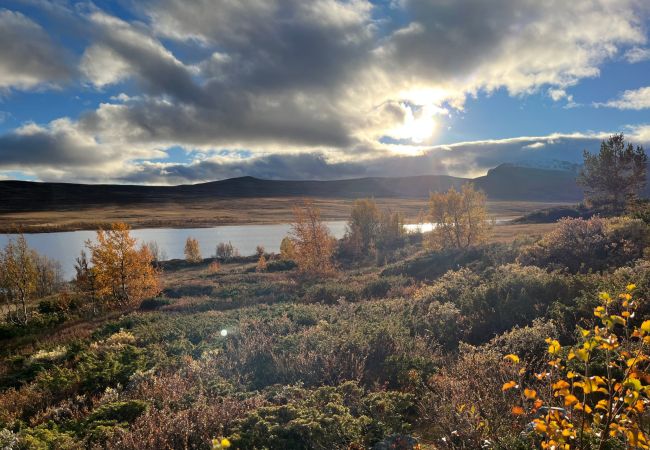 Hytte i Hol - Vakker hytte med fantastisk utsikt på Geilo