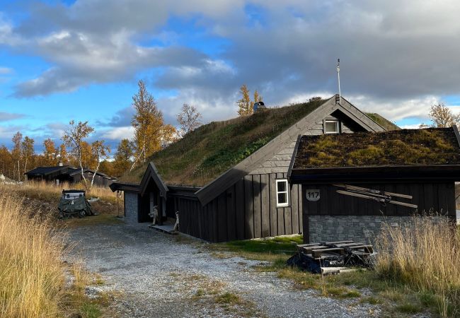 Hytte i Hol - Vakker hytte med fantastisk utsikt på Geilo Hytte i Hol - Vakker hytte med fantastisk utsikt på Geilo