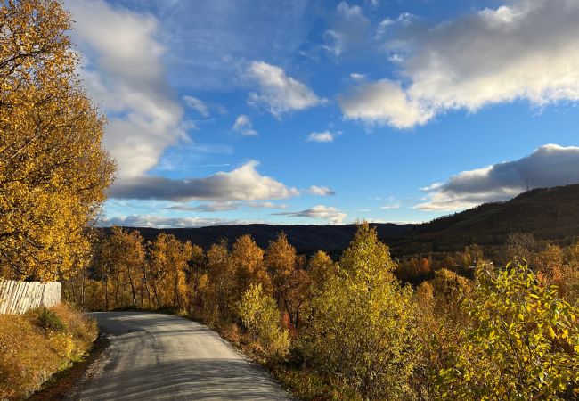 Hytte i Hol - Vakker hytte med fantastisk utsikt på Geilo