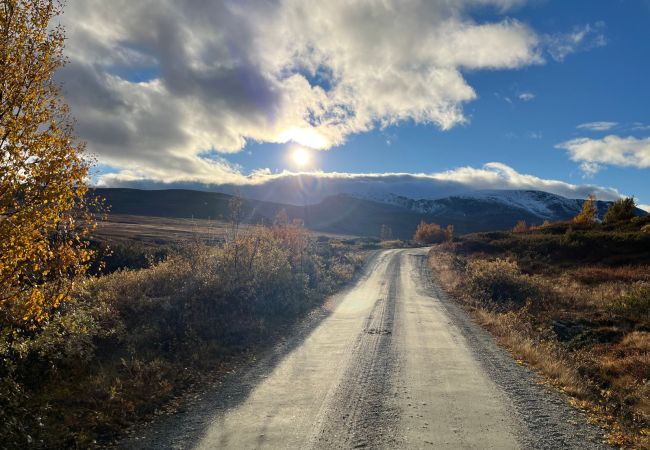 Hytte i Hol - Vakker hytte med fantastisk utsikt på Geilo Hytte i Hol - Vakker hytte med fantastisk utsikt på Geilo