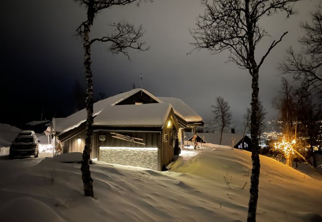 Hytte i Hol - Vakker hytte med fantastisk utsikt på Geilo Hytte i Hol - Vakker hytte med fantastisk utsikt på Geilo