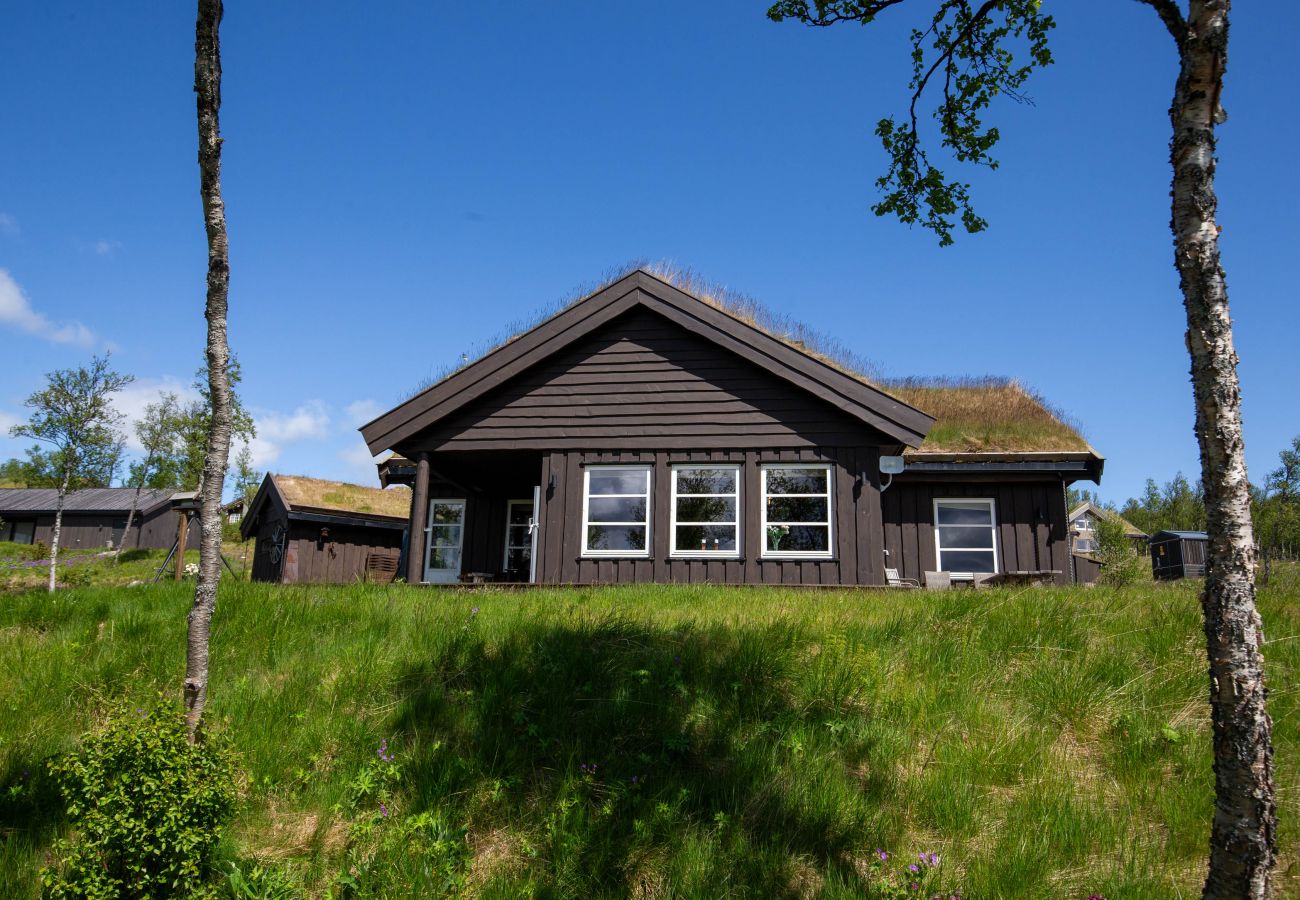 Hytte i Hol - Vakker hytte med fantastisk utsikt på Geilo