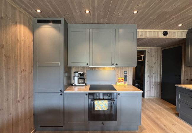 Leilighet i Hol - Slåttahølen - ny og flott leilighet med sentral beliggenhet i Geilo sentrum Leilighet i Hol - Slåttahølen - ny og flott leilighet med sentral beliggenhet i Geilo sentrum