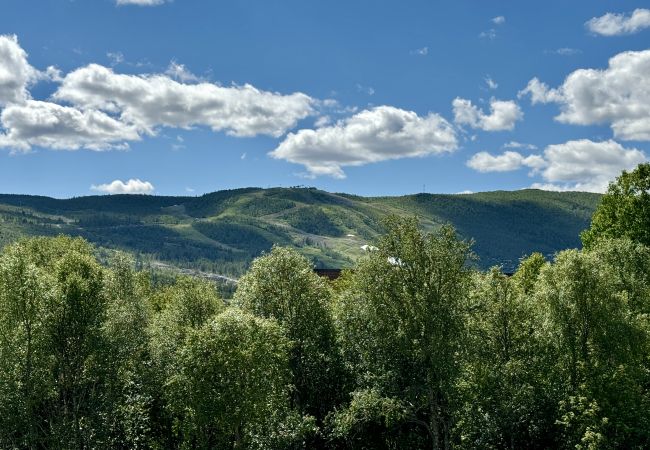 Leilighet i Hol - Slåttahølen - ny og flott leilighet med sentral beliggenhet i Geilo sentrum Leilighet i Hol - Slåttahølen - ny og flott leilighet med sentral beliggenhet i Geilo sentrum